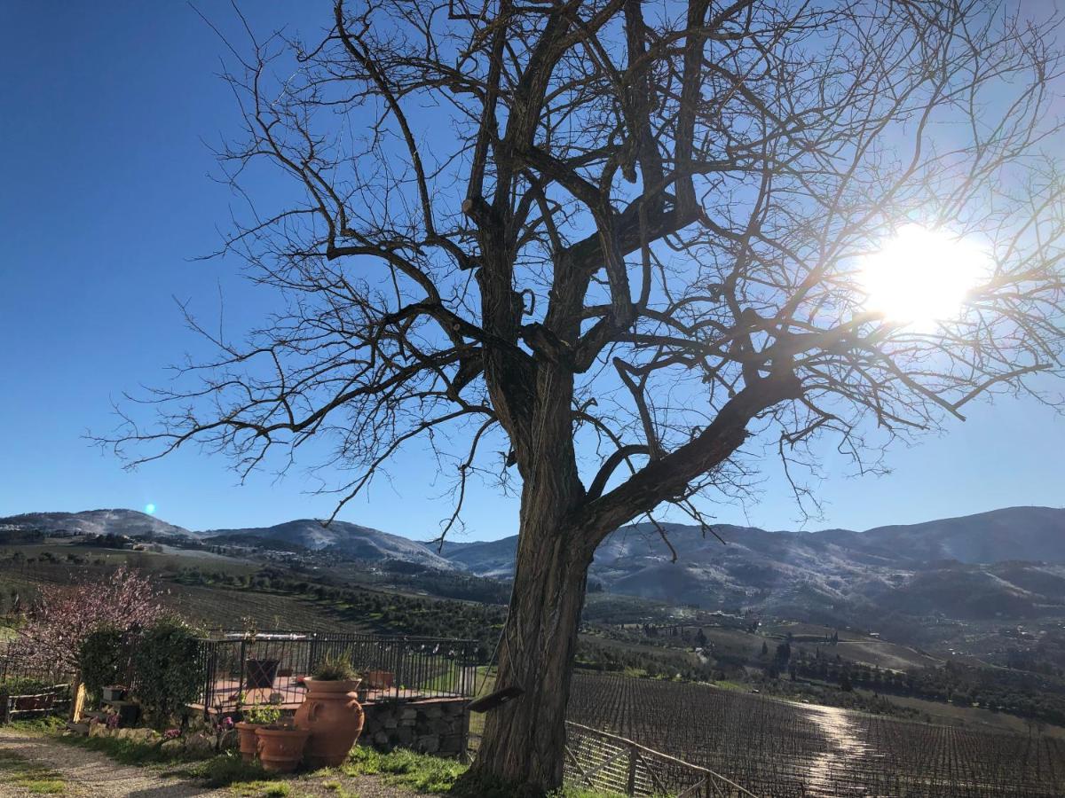 Azienda Agricola Il Poggiolino Βίλα Pelago Εξωτερικό φωτογραφία