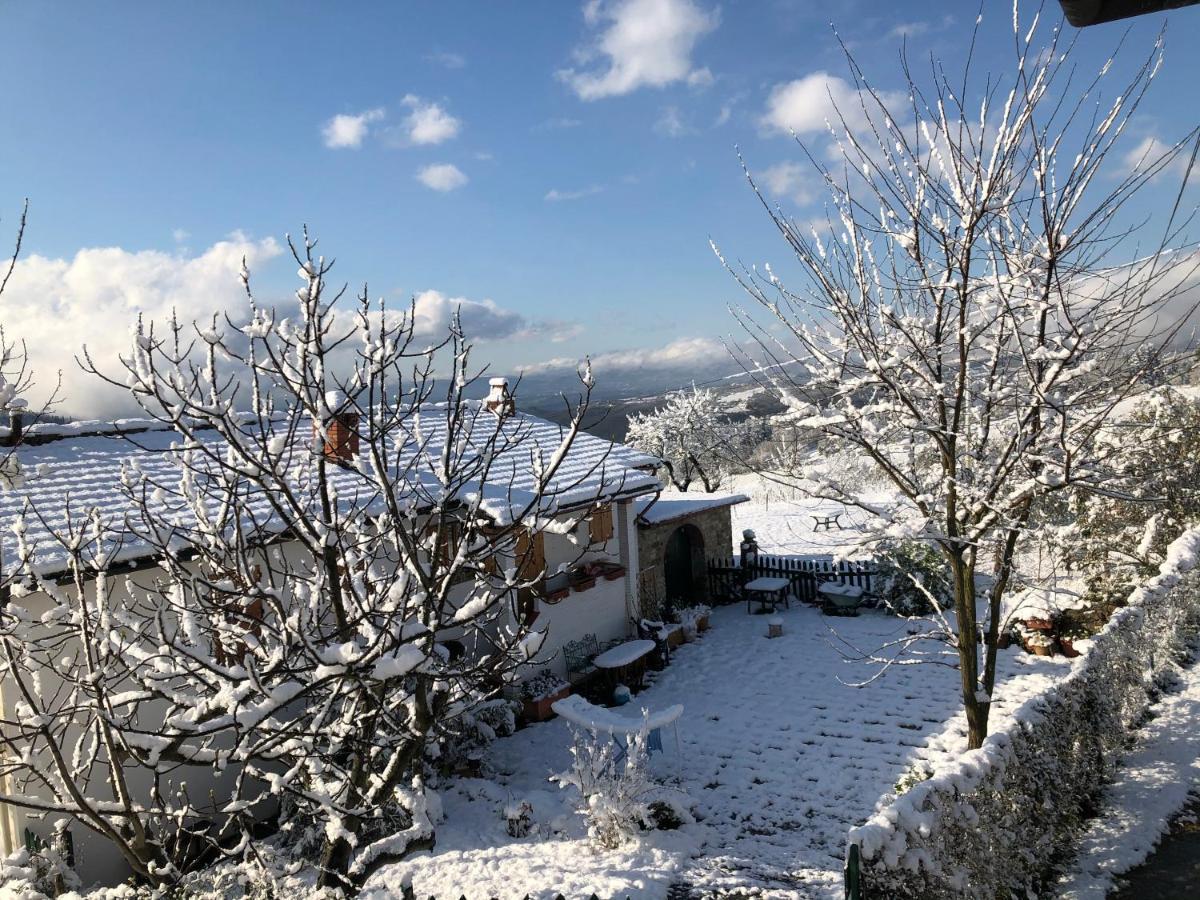 Azienda Agricola Il Poggiolino Βίλα Pelago Εξωτερικό φωτογραφία